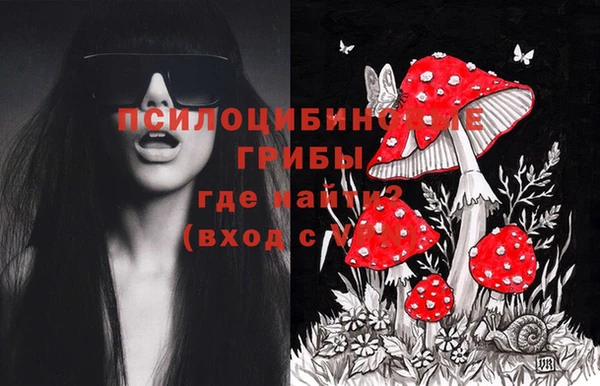 каннабис Михайловка